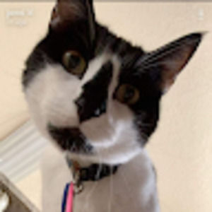 Meet your Posher, Jenna